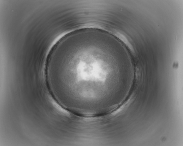 X0000095121068200712071235
