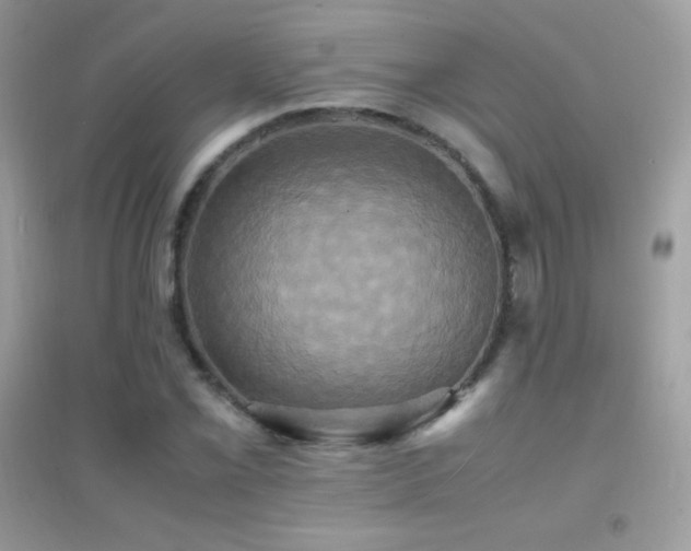 X0000095121069200712071235
