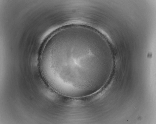 X0000095121070200712071235