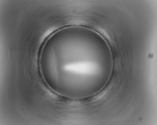 X0000095121071200712071235