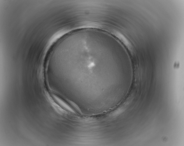 X0000095121072200712071235