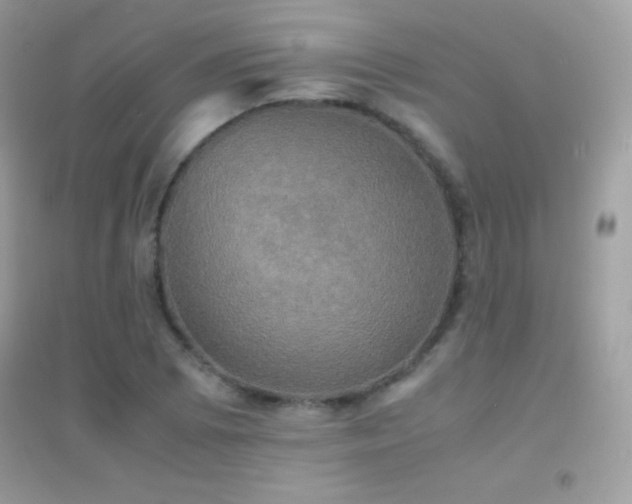 X0000095121073200712071234