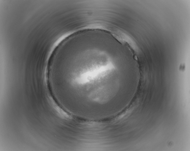 X0000095121076200712071234