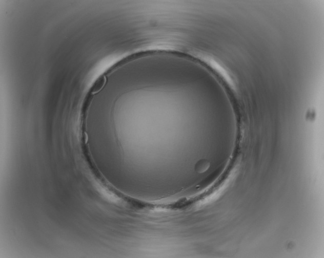 X0000095121077200712071234