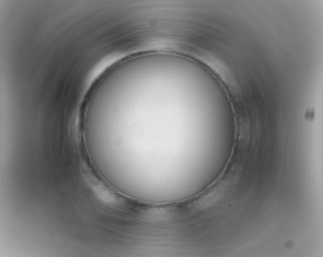 X0000095121078200712071234