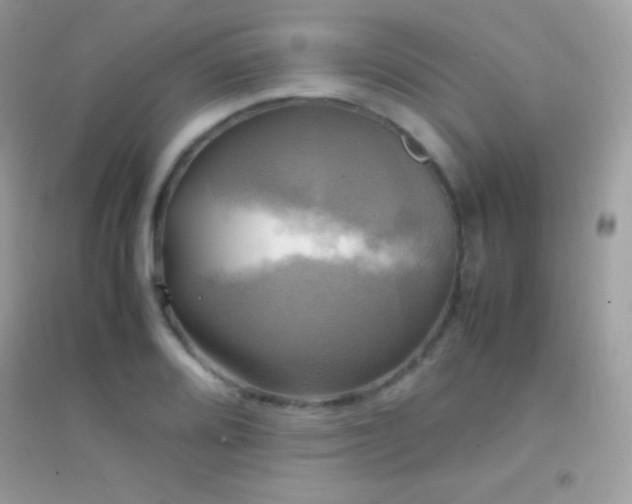 X0000095121080200712071234
