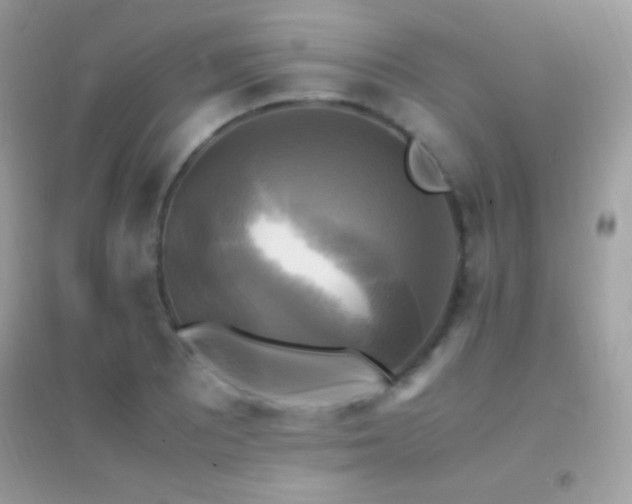 X0000095121081200712071234