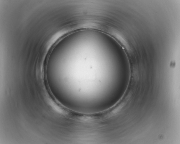X0000095121082200712071234