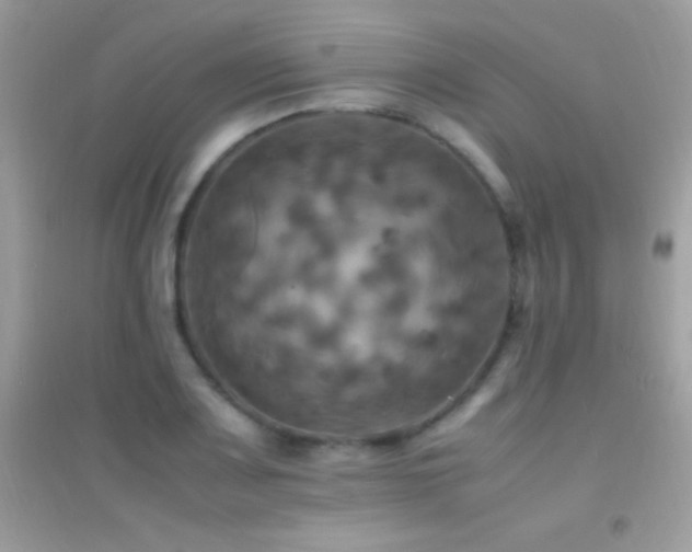 X0000095121083200712071234
