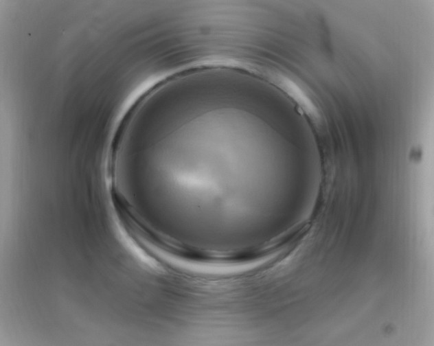 X0000095121084200712071234