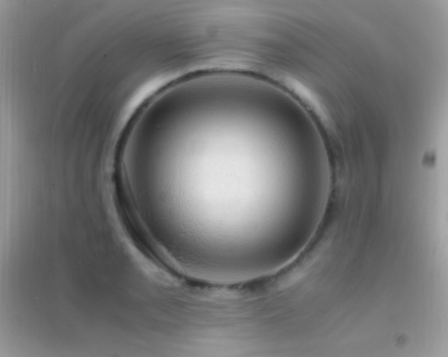 X0000095121085200712071234