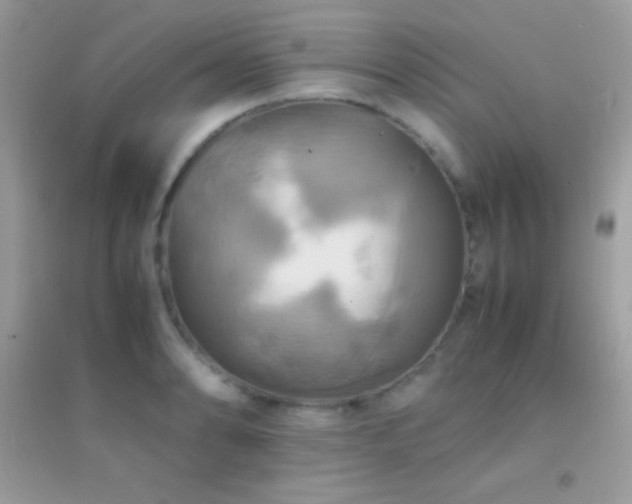 X0000095121086200712071234