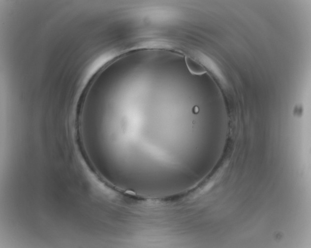 X0000095121087200712071234