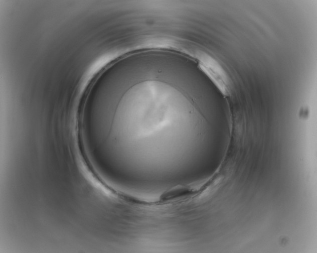 X0000095121088200712071234