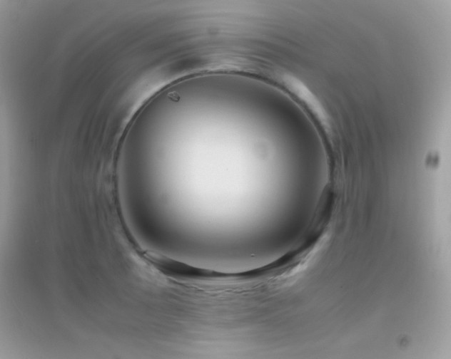 X0000095121089200712071234