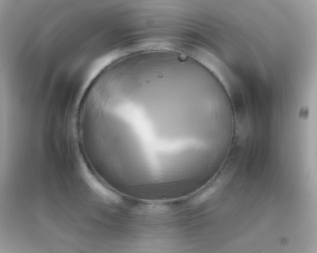 X0000095121090200712071234