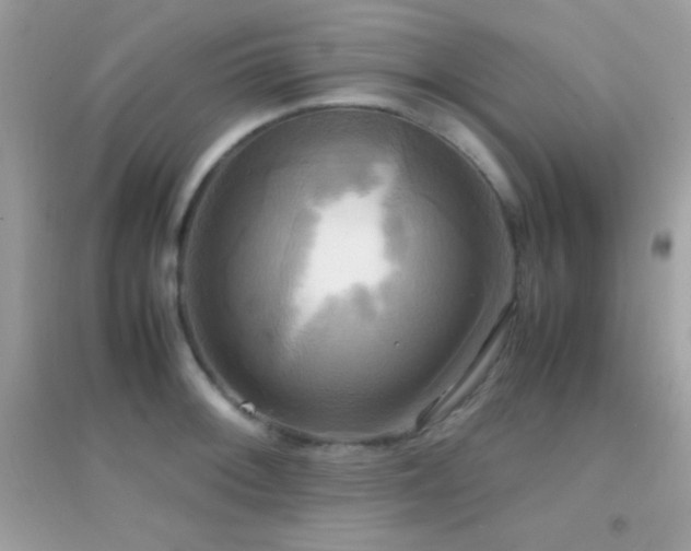 X0000095121092200712071234