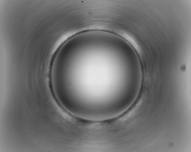 X0000095121093200712071234