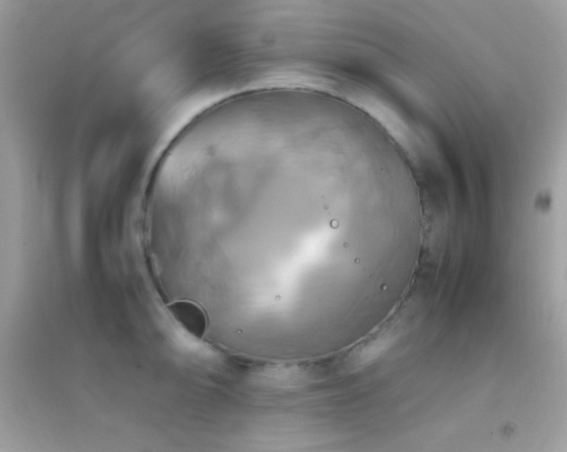 X0000095121094200712071234