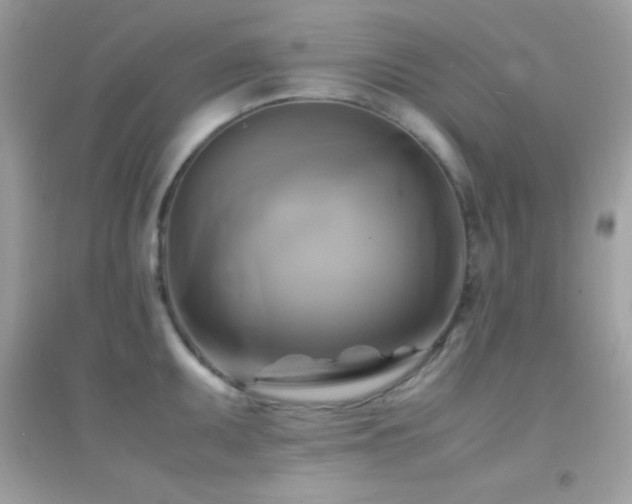 X0000095121095200712071234