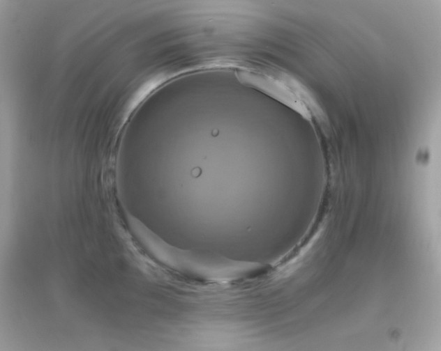 X0000095121097200712071234
