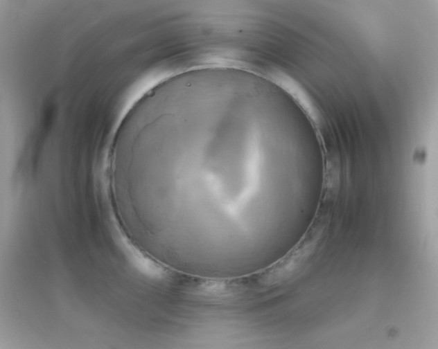 X0000095121098200712071234