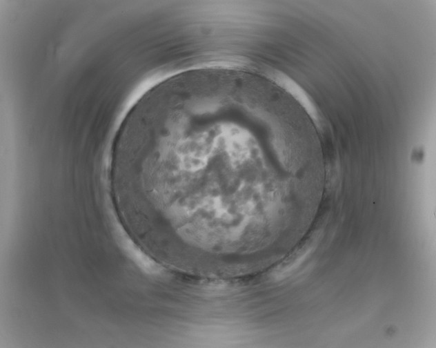 X0000095121099200712071234