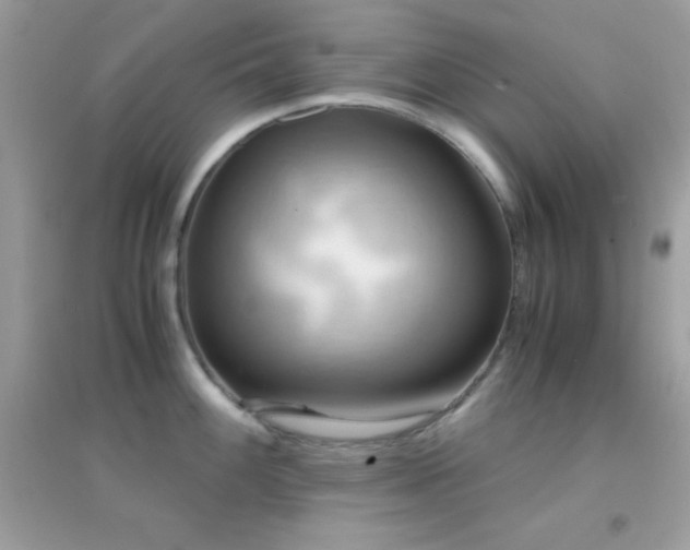 X0000095121100200712071234