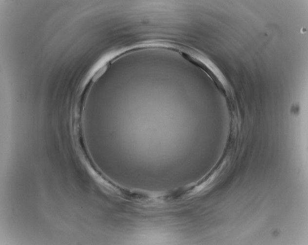 X0000095121101200712071234