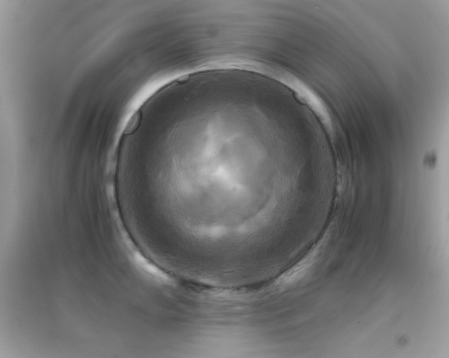 X0000095121102200712071234