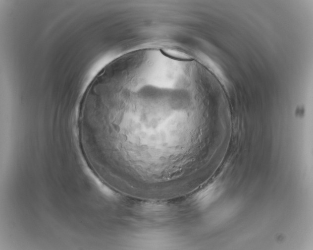 X0000095121103200712071234