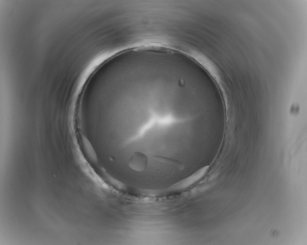 X0000095121104200712071234