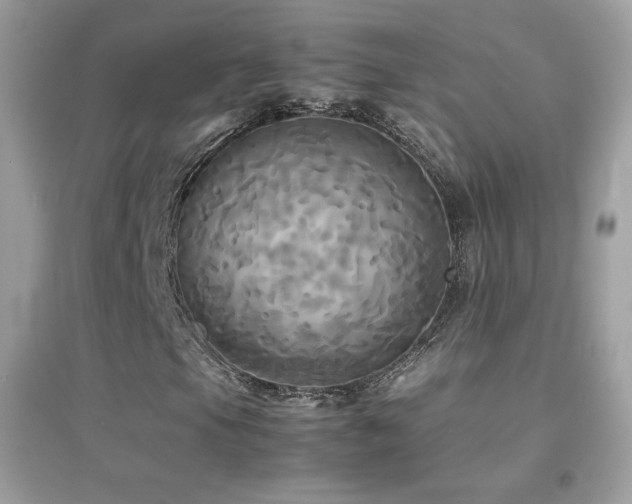 X0000095121105200712071233