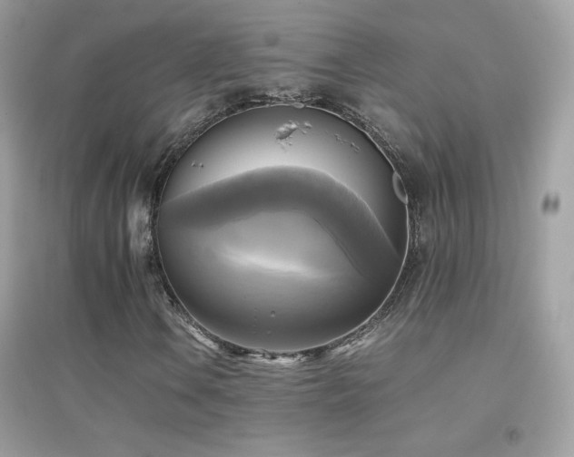 X0000095121106200712071233