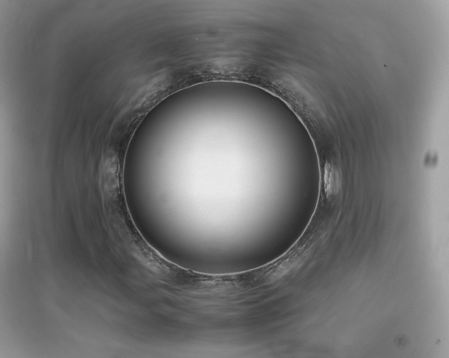 X0000095121107200712071233