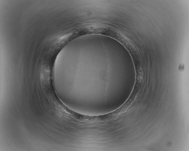 X0000095121108200712071233