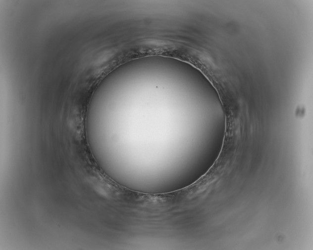 X0000095121109200712071233