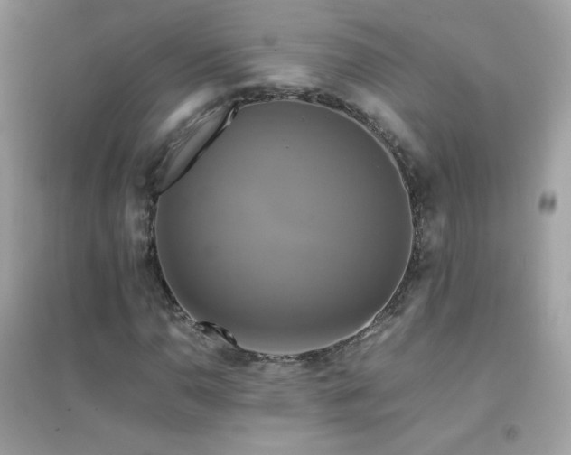 X0000095121110200712071233