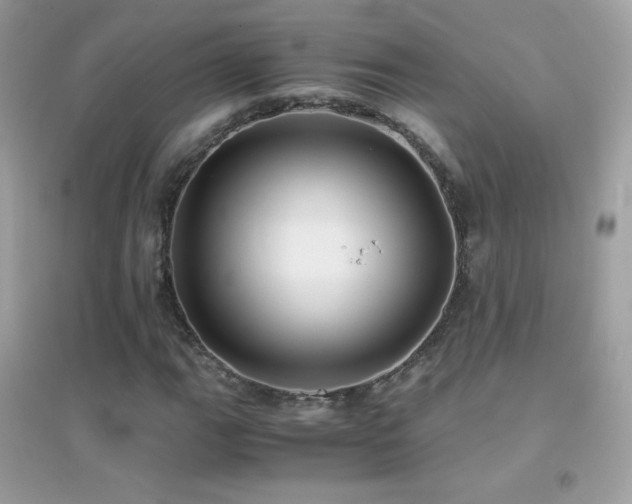 X0000095121111200712071233