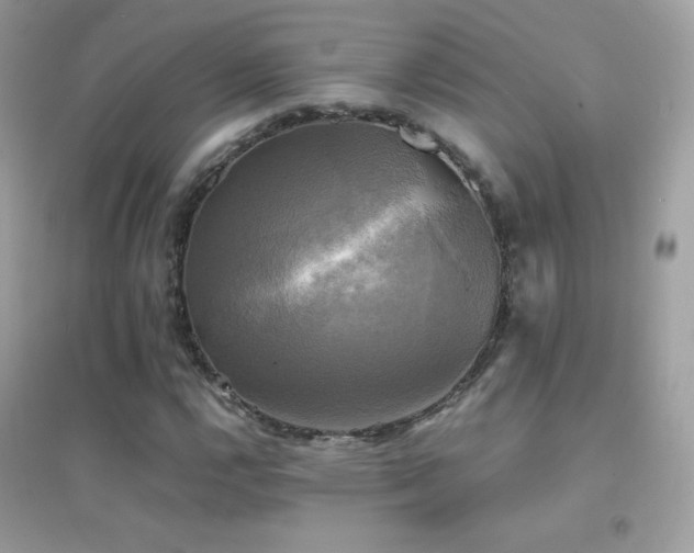 X0000095121112200712071233