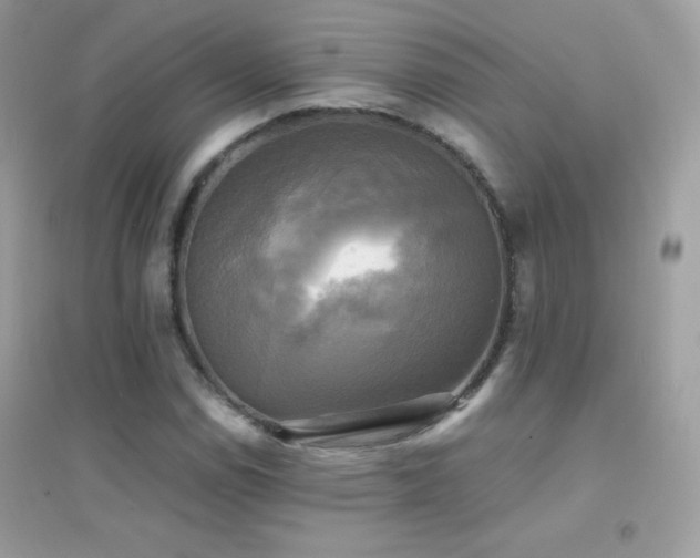 X0000095121114200712071234