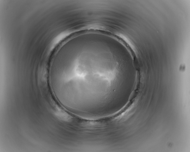 X0000095121115200712071234