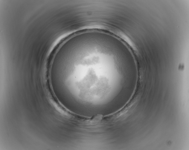 X0000095121116200712071234