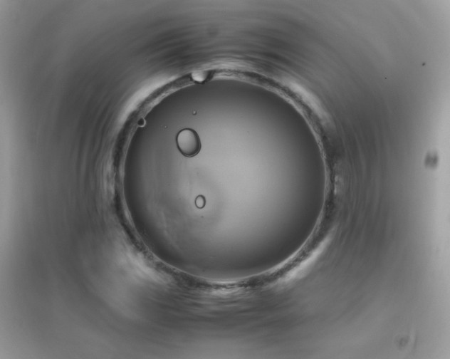 X0000095121117200712071234