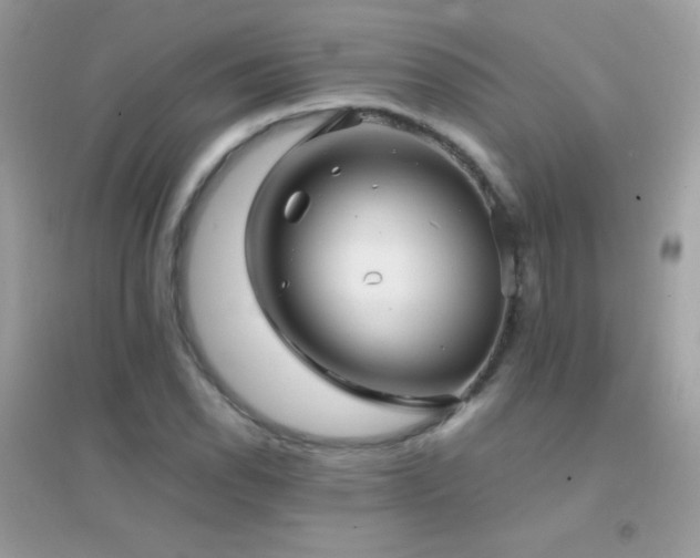 X0000095121118200712071234