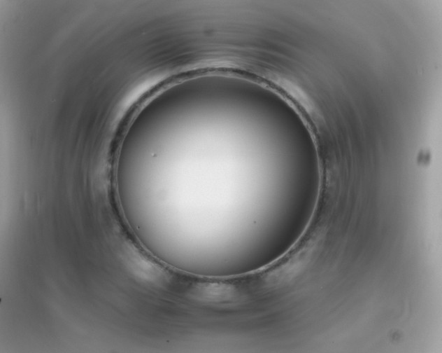 X0000095121119200712071234