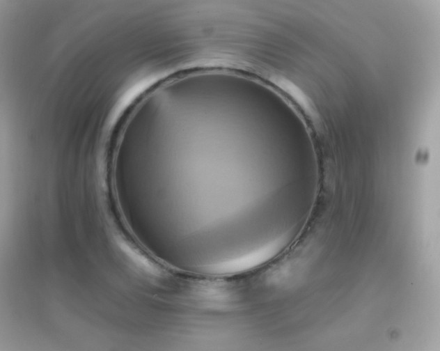 X0000095121120200712071234