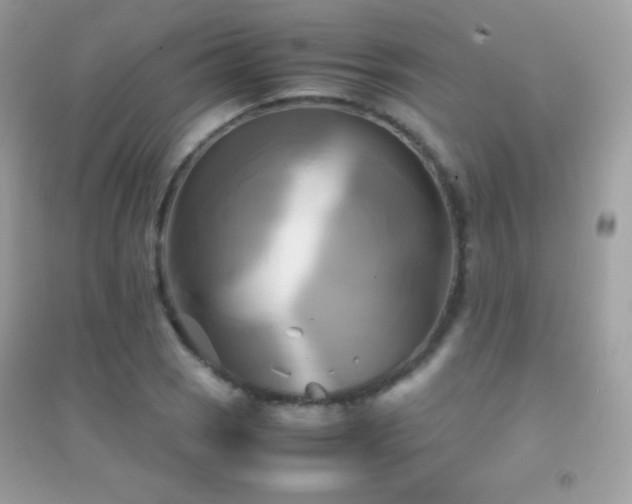 X0000095121121200712071234