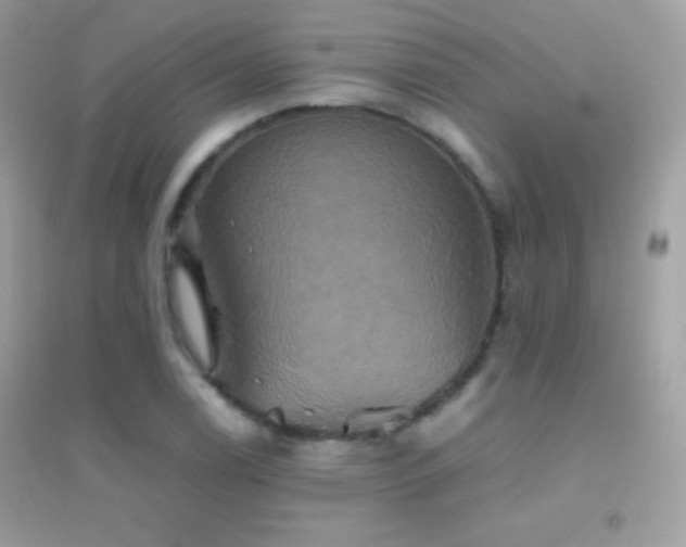 X0000095121122200712071234