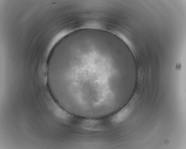 X0000095121123200712071234